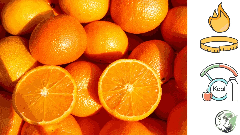 Orange-calories.2.webp