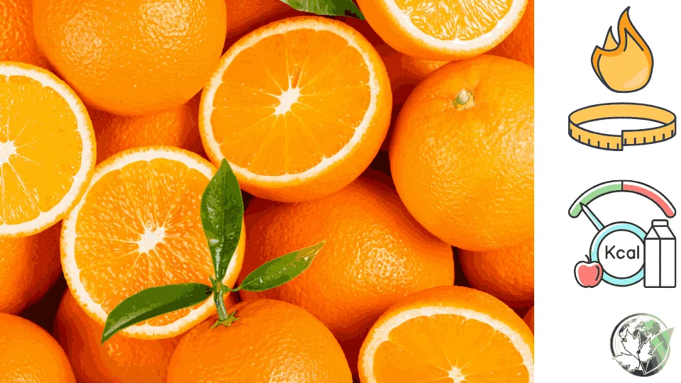 Orange-calories.4.webp