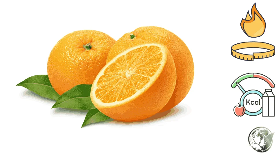 Orange-calories1.webp