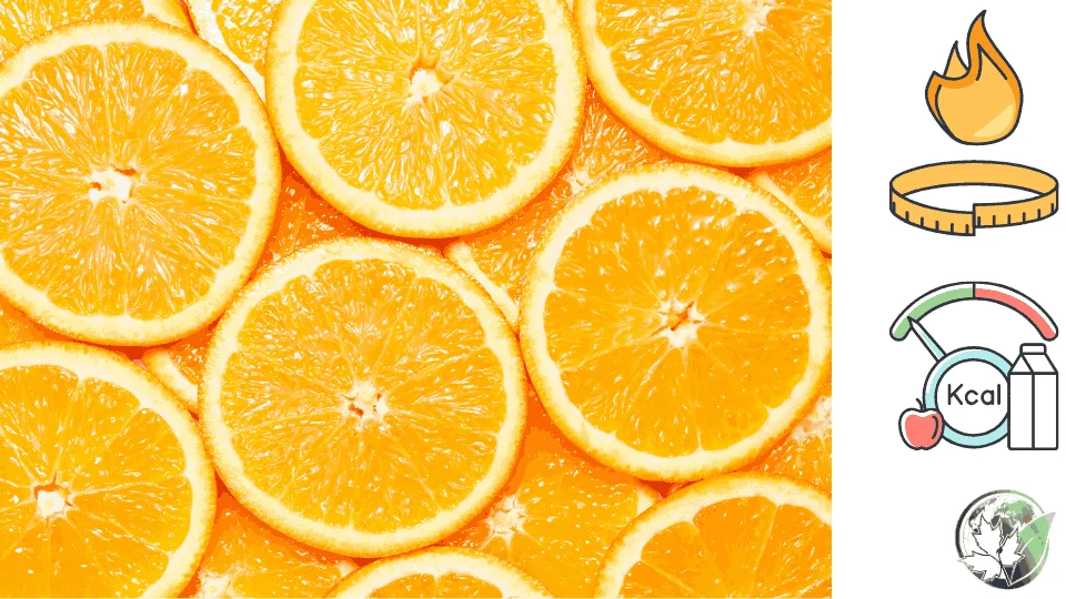 Orange-calories5.webp