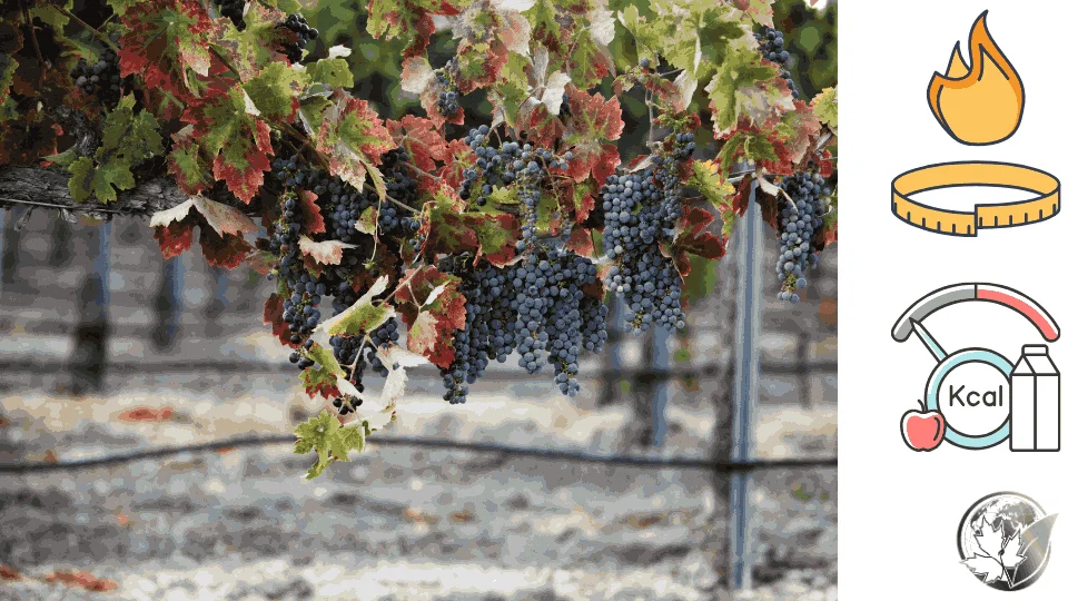 grapes-calories5.webp
