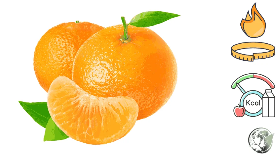 mandarin-calories1.webp