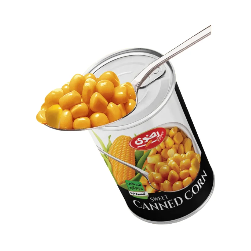 Canned Foods Nanerazavi cover