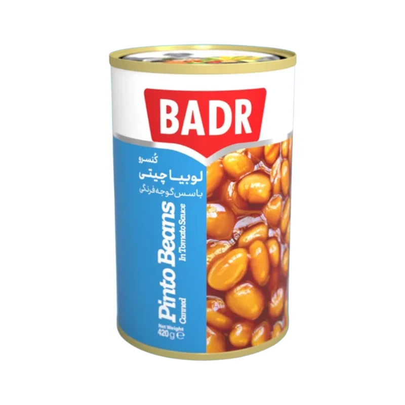 Pinto Beans