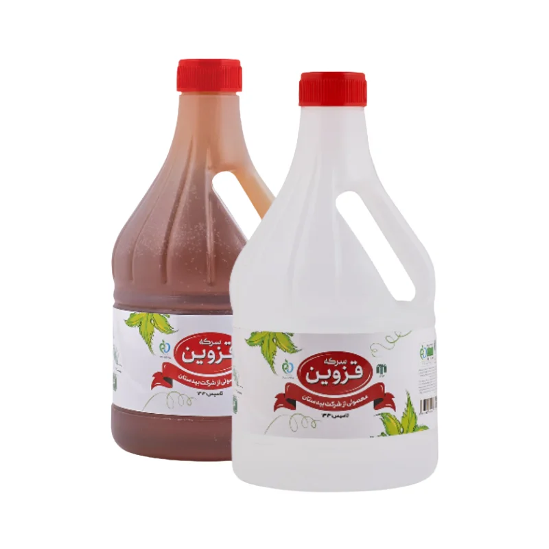 Vinegar & Sour Condiments Bidestan cover