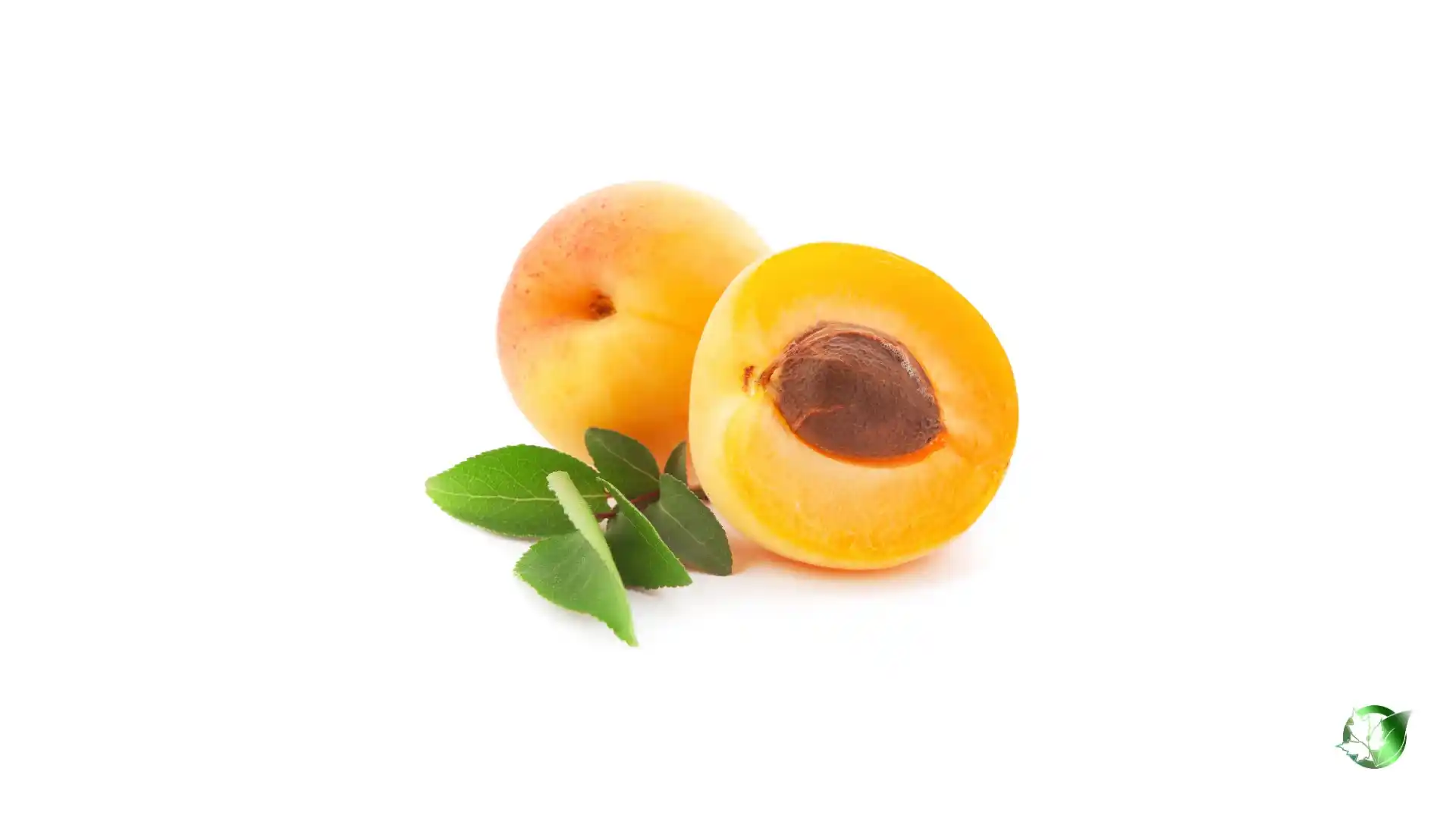 Bulk Apricot | Suppliers | Wholesale | ParsaFood Global