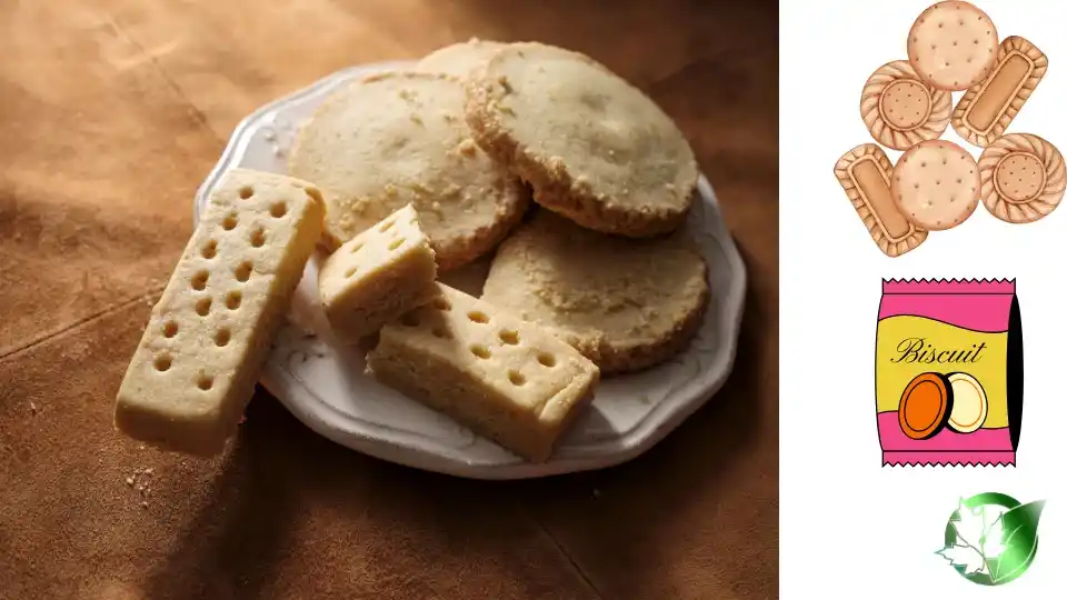 Exporter evaluation for Biscuits should cover specification, packaging, supporting records, logistics, and landed commercial cost.