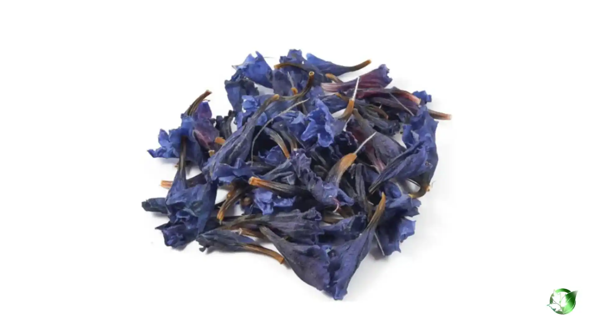 Bulk Borage | Suppliers | Wholesale | ParsaFood Global