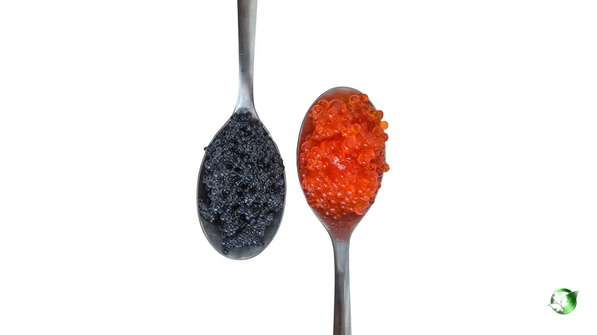 Caviar1.webp