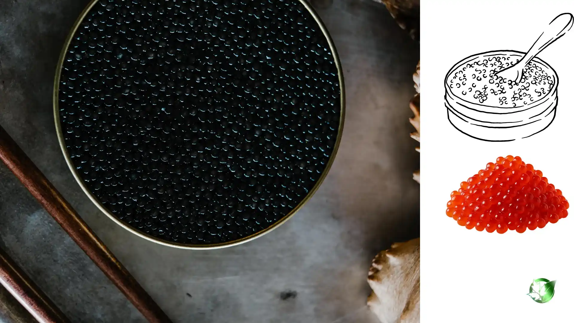 Commercial presentation of Caviar for wholesale product evaluation and buyer review.