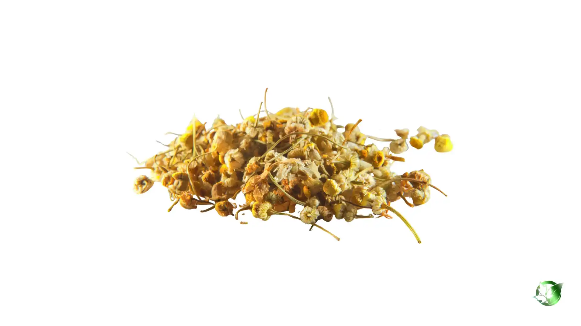 Bulk Chamomile | Suppliers | Wholesale | ParsaFood Global