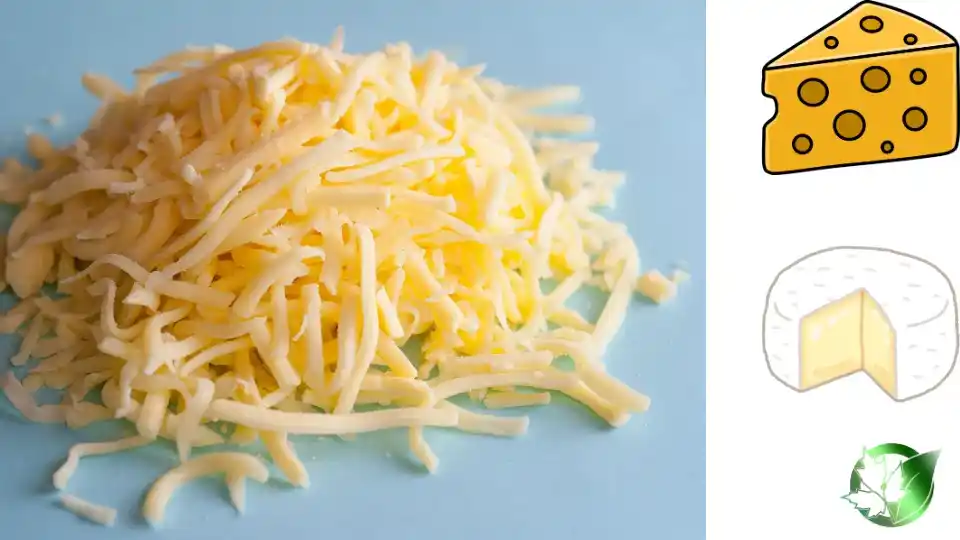 Cheese quality, format, and packaging should be matched to the buyer’s target application.