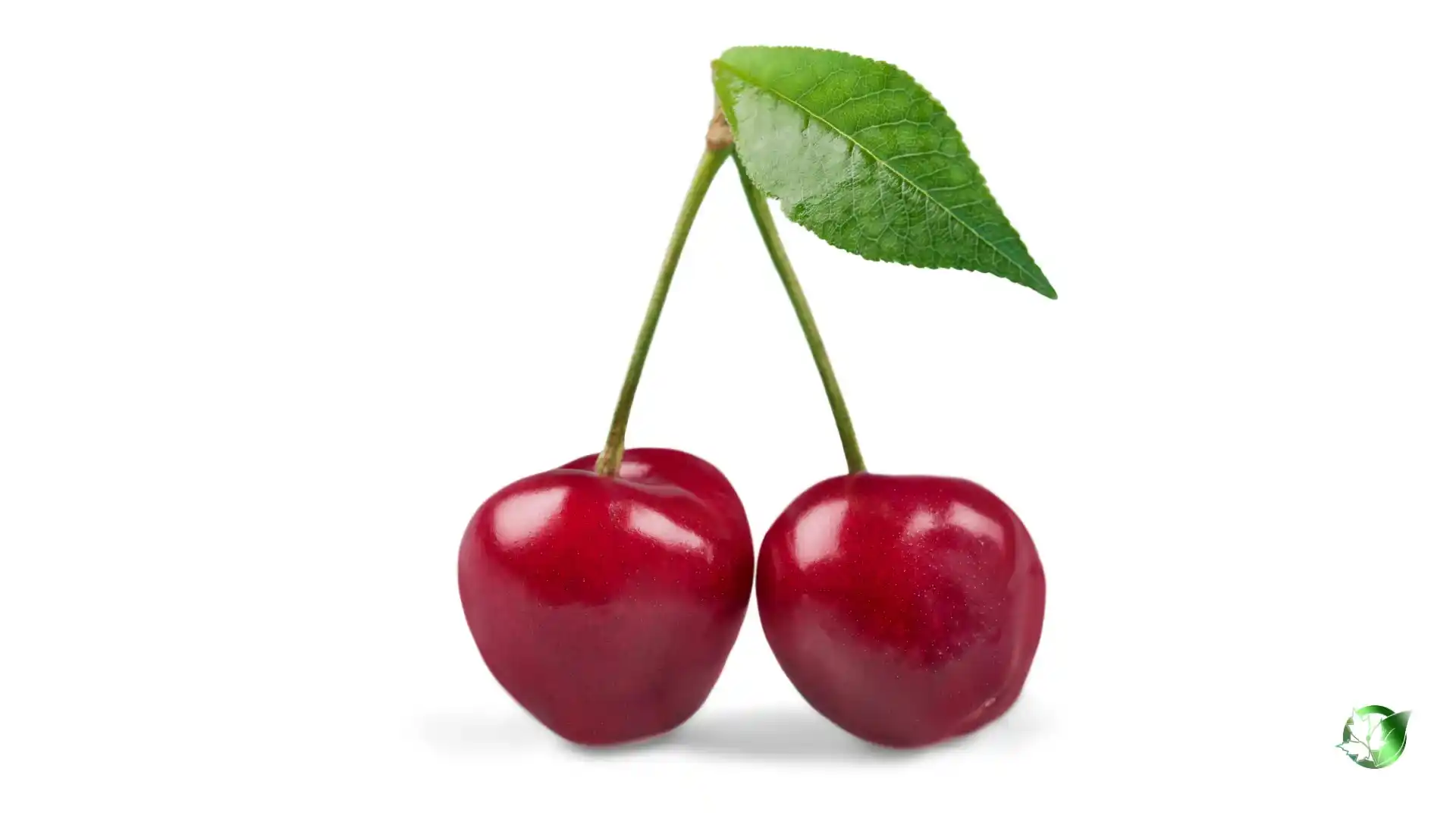 Bulk Cherry | Suppliers | Wholesale | ParsaFood Global