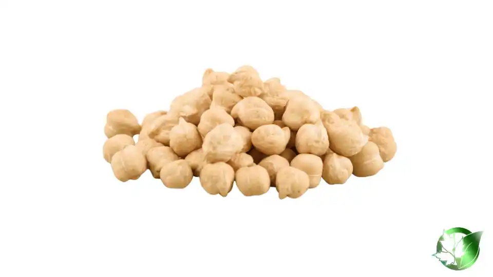 Bulk Chickpeas | Suppliers | Wholesale | ParsaFood Global