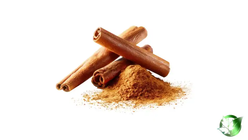Bulk Cinnamon | Suppliers | Wholesale | ParsaFood Global