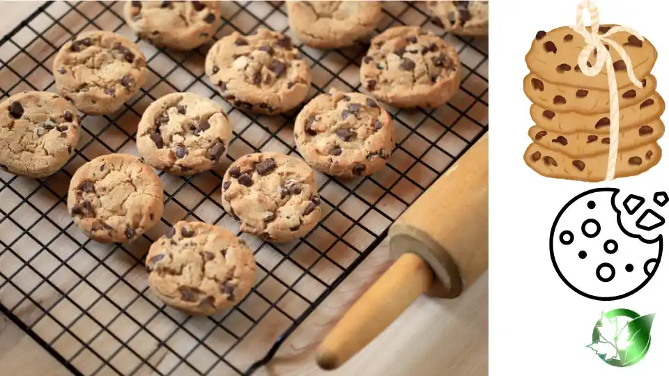 Wholesale packaging for Cookies can be planned for shop-floor sales, foodservice, buyer-brand, or production-line distribution.