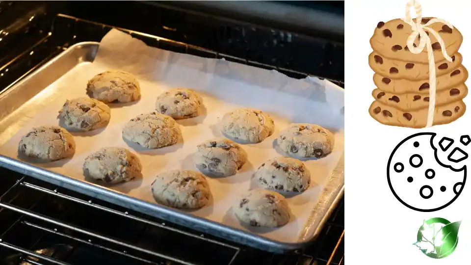 Supplier evaluation for Cookies should cover specification, packaging, documentation, logistics, and true import cost.