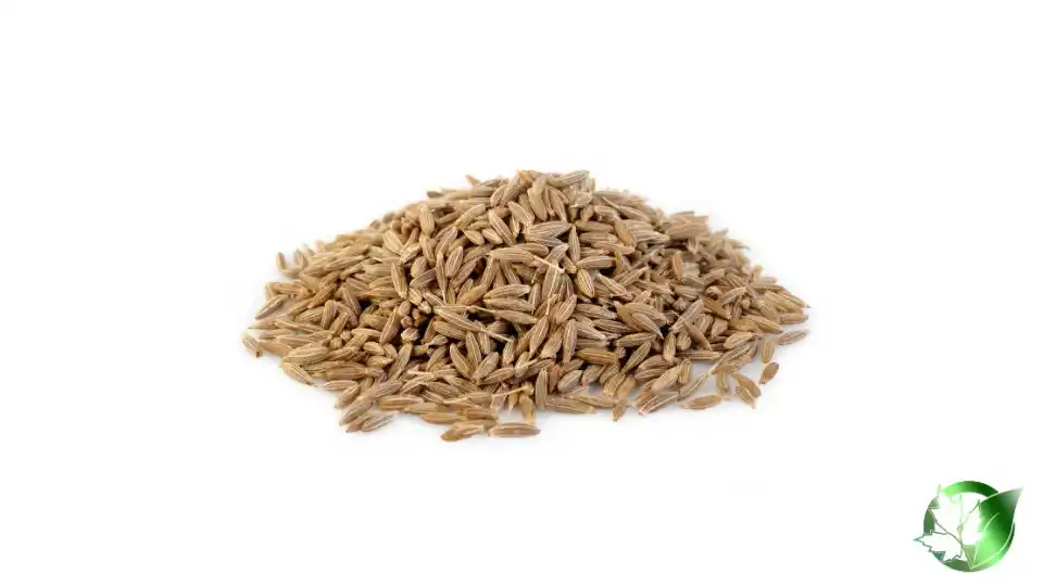Bulk Cumin | Suppliers | Wholesale | ParsaFood Global