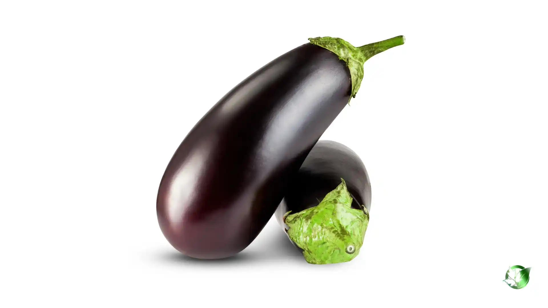 Bulk Eggplant | Suppliers | Wholesale | ParsaFood Global
