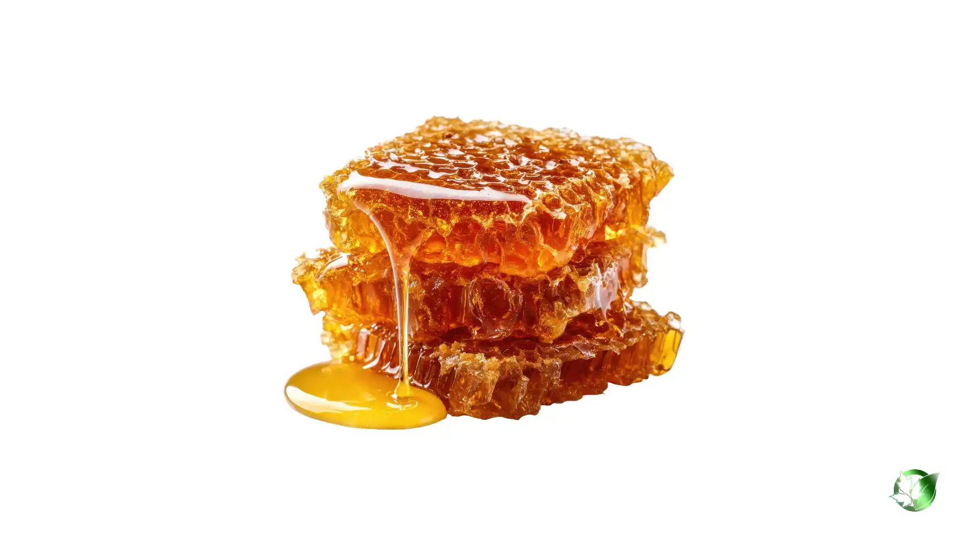 Honey1.webp