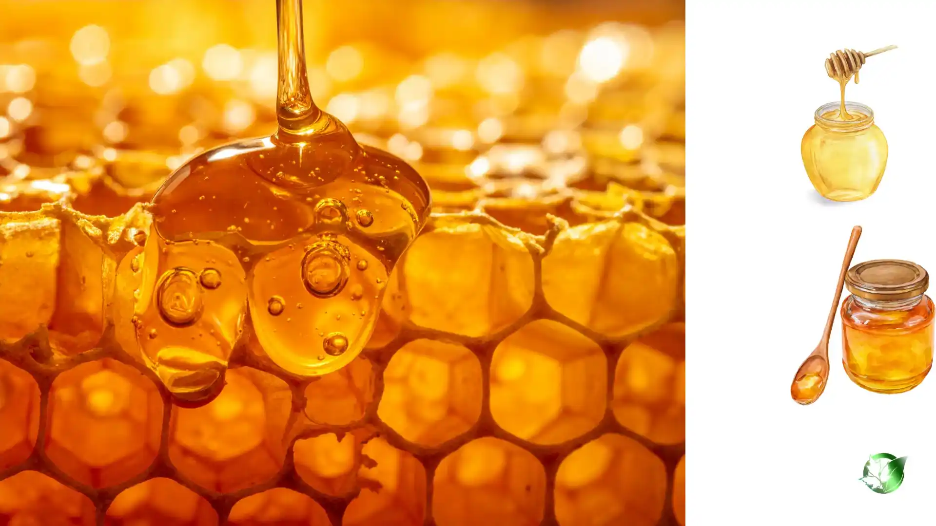 Commercial presentation of Honey for wholesale product evaluation and buyer review.