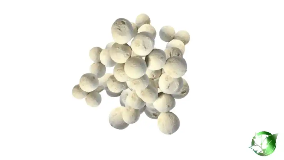 Bulk Kashk (Whey Product) | Suppliers | Wholesale | ParsaFood Global
