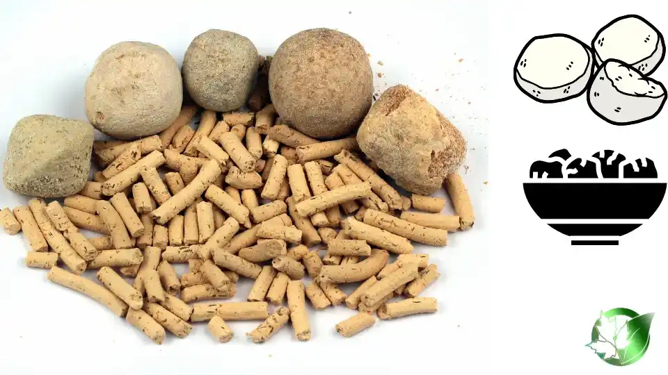 Commercial presentation of Kashk (Whey Product) for wholesale product evaluation and buyer review.