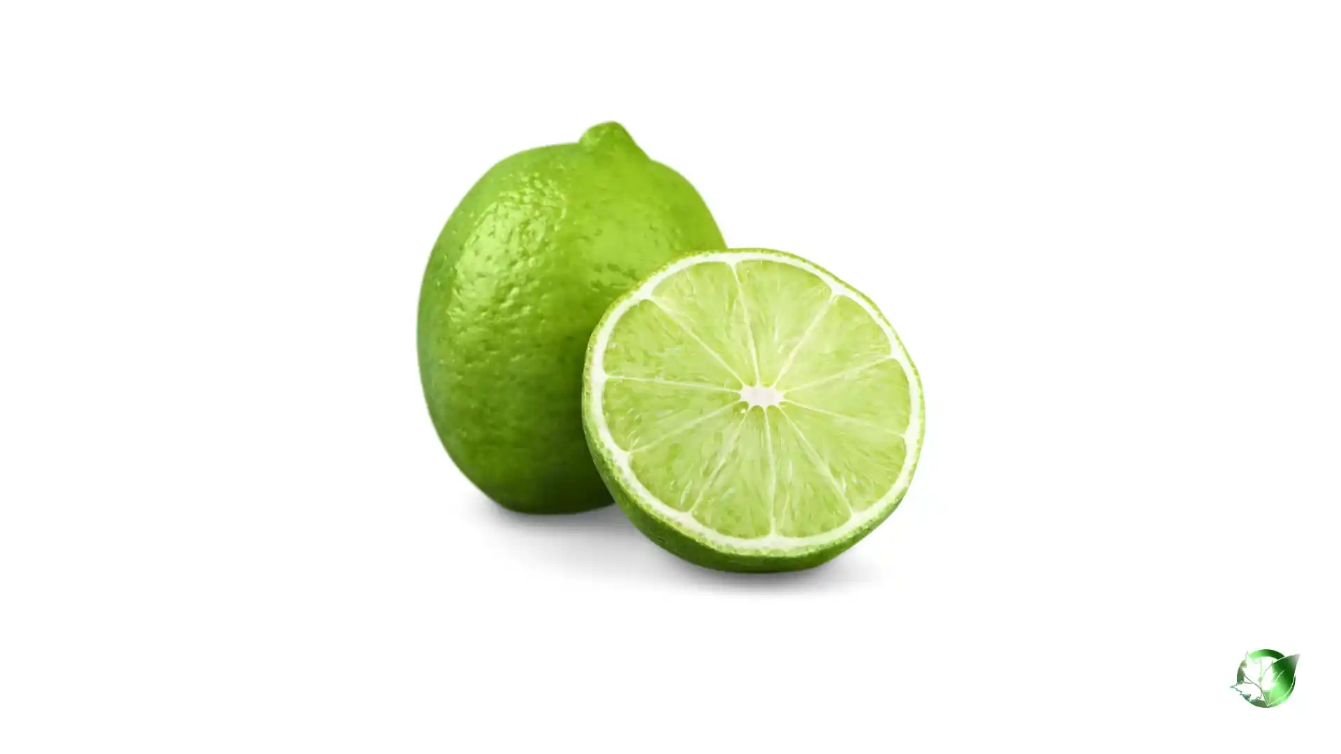 Bulk Lime | Suppliers | Wholesale | ParsaFood Global