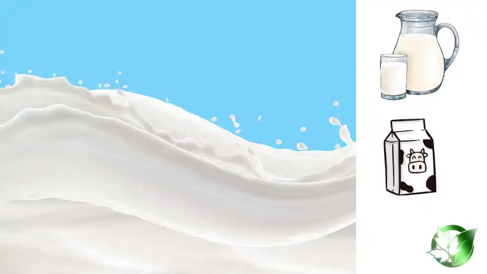 Milk quality, format, and packaging should be matched to the buyer’s target application.