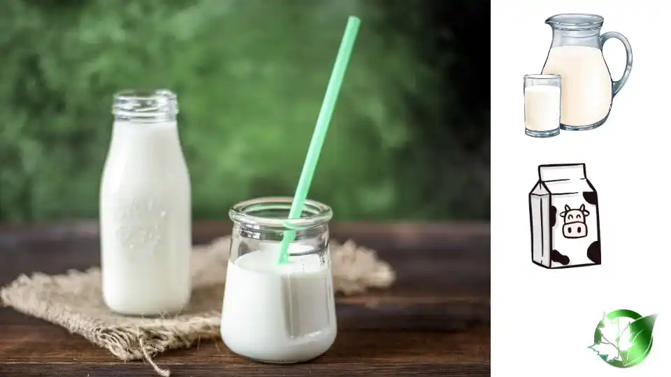 Wholesale packaging for Milk can be planned for retail distribution, foodservice, own-label, or industrial distribution.