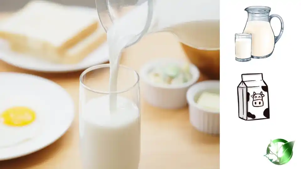 Supplier evaluation for Milk should cover specification, packaging, required records, logistics, and full delivered cost.