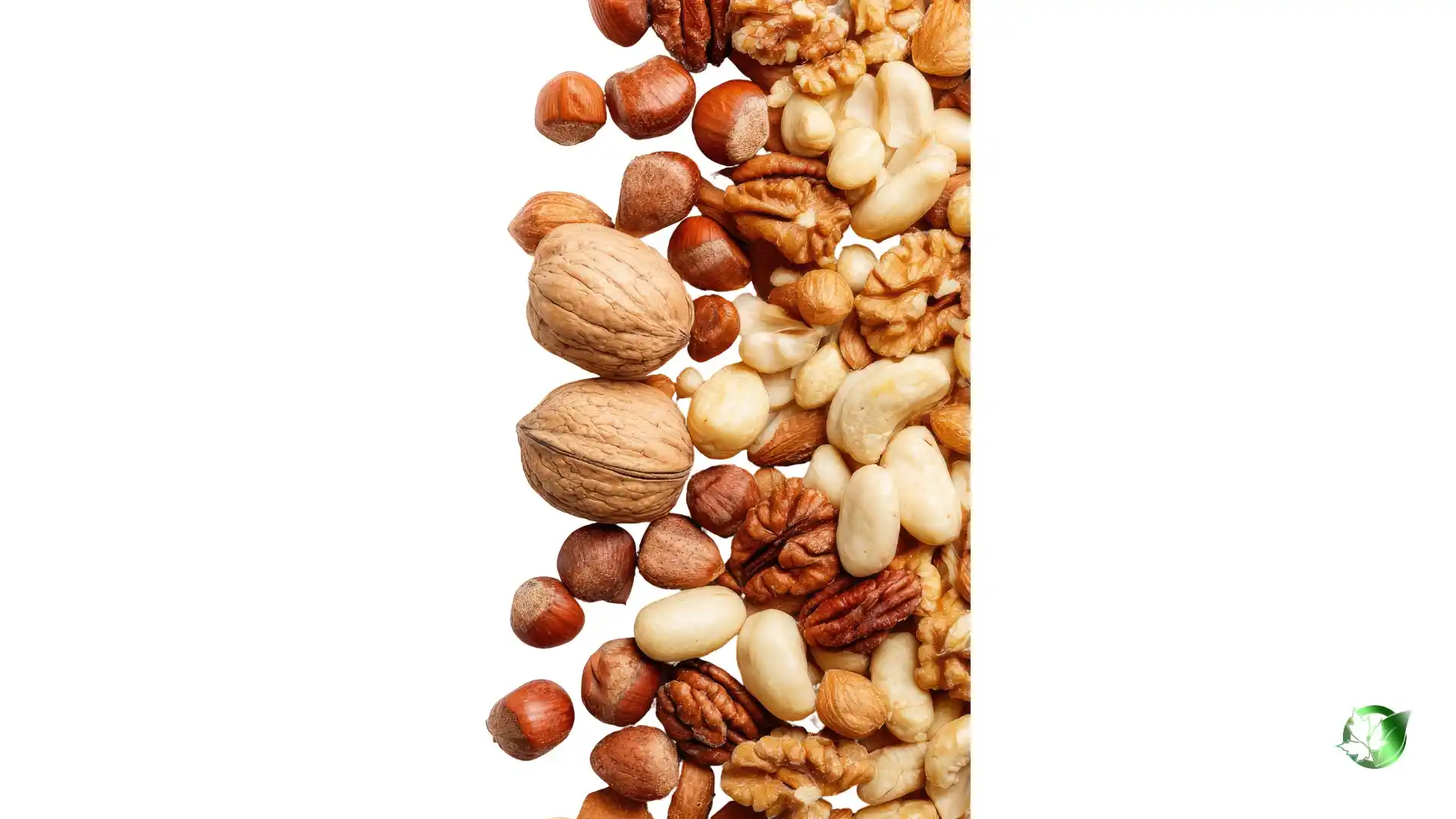 Bulk Nuts | Suppliers | Wholesale | ParsaFood Global