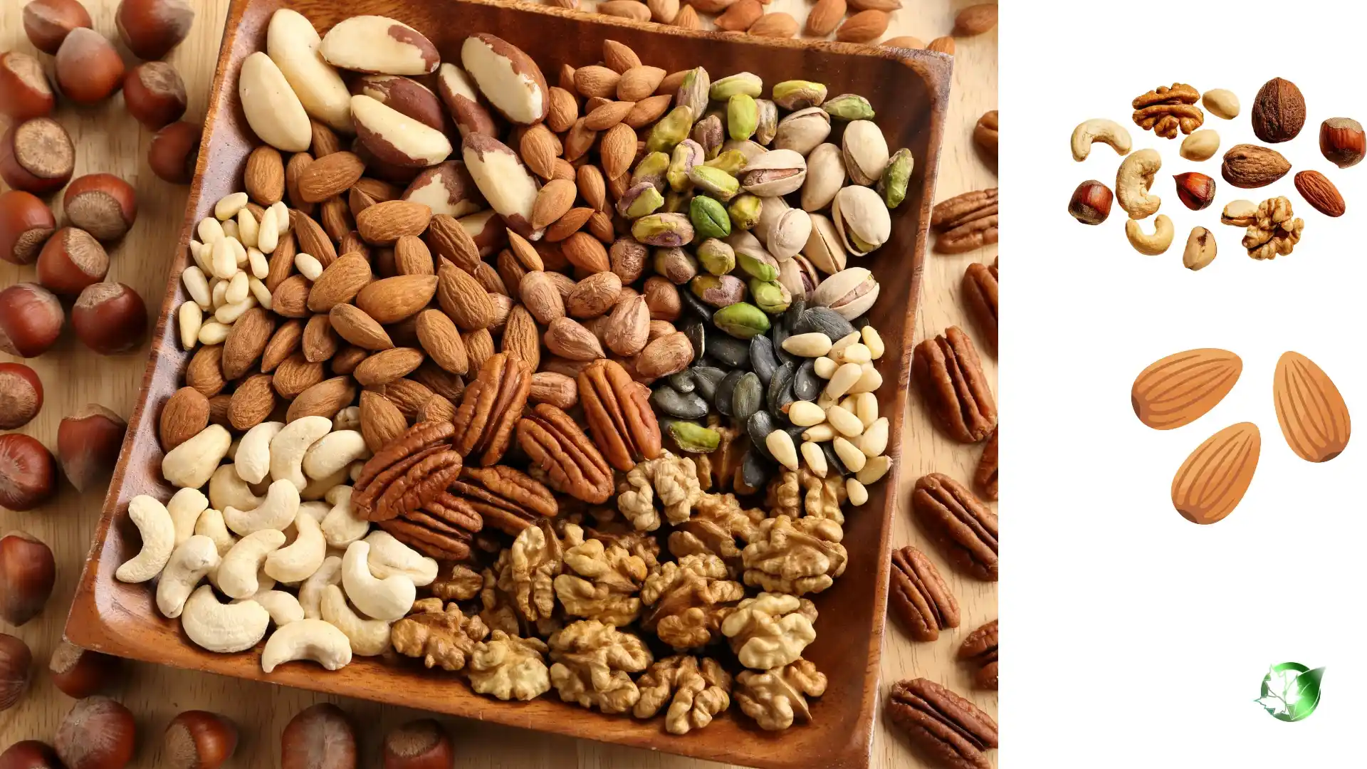 Nuts quality, format, and packaging should be matched to the buyer’s target application.