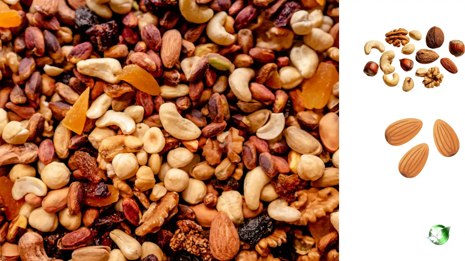 Wholesale packaging for Nuts can be planned for retail, foodservice, private-label, or production-line distribution.