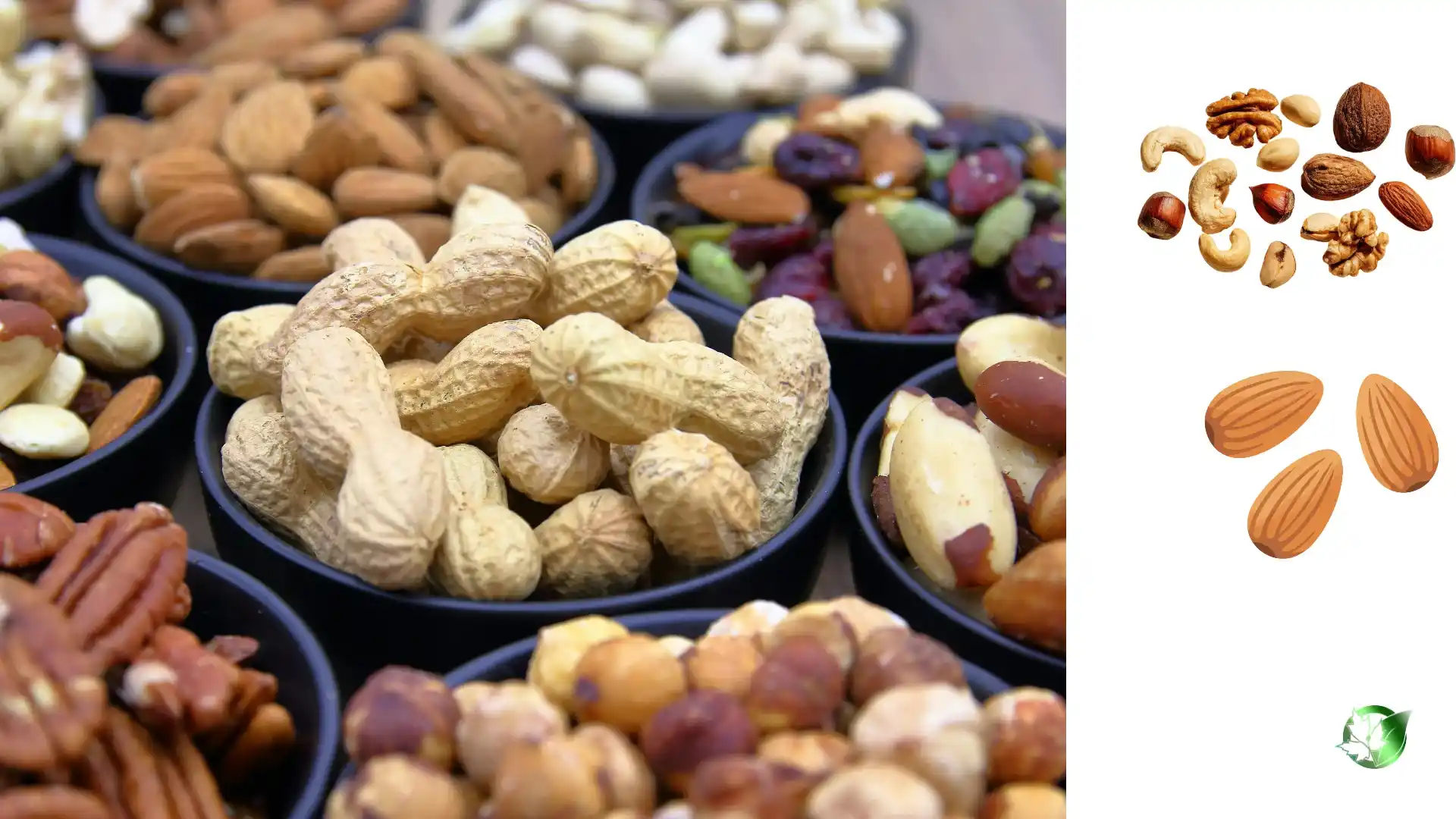Supplier evaluation for Nuts should cover specification, packaging, supporting records, logistics, and complete delivered expense.