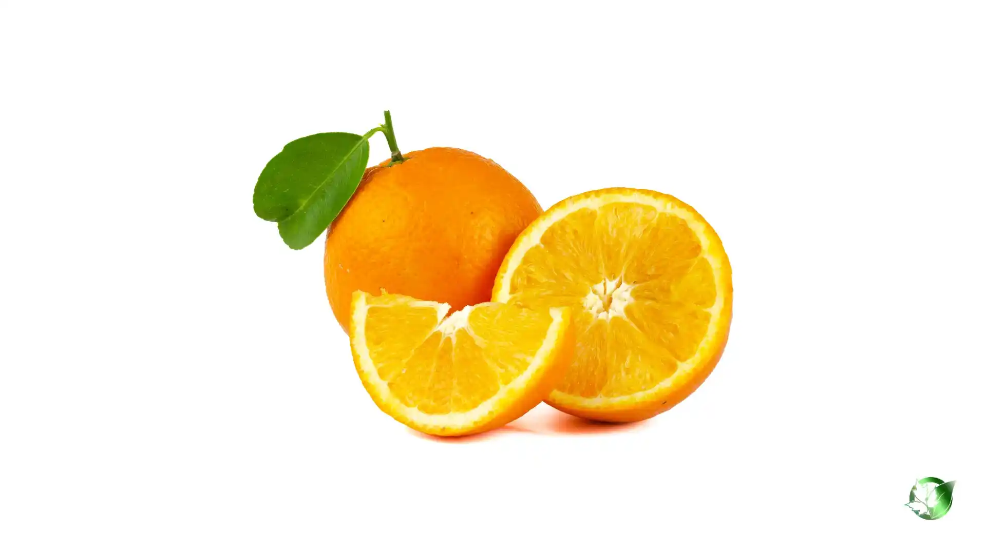 Bulk Orange | Suppliers | Wholesale | ParsaFood Global