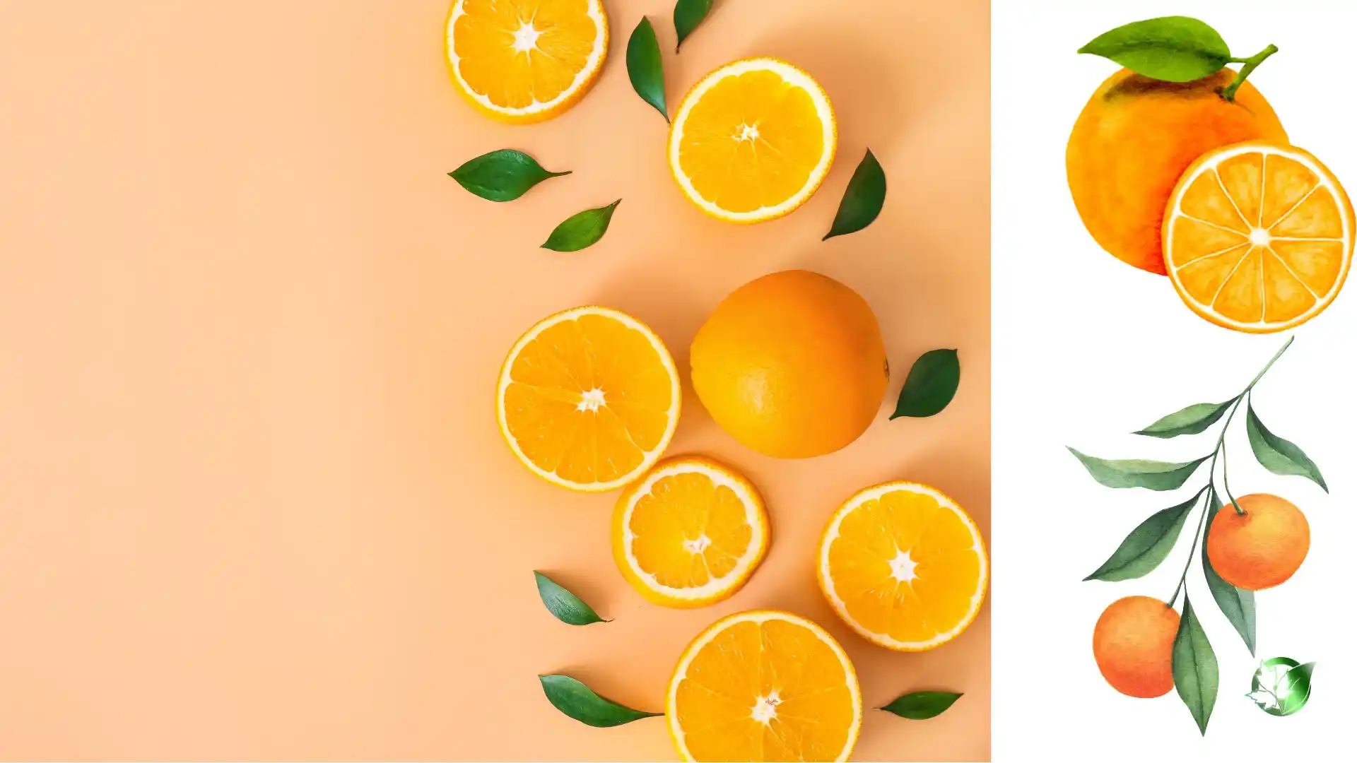 Commercial presentation of Orange for wholesale product evaluation and buyer review.