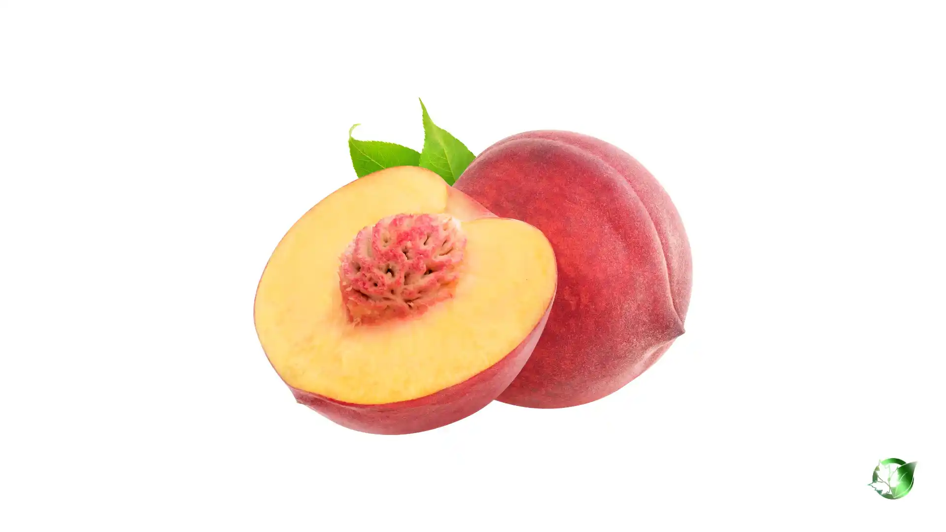 Bulk Peach | Suppliers | Wholesale | ParsaFood Global