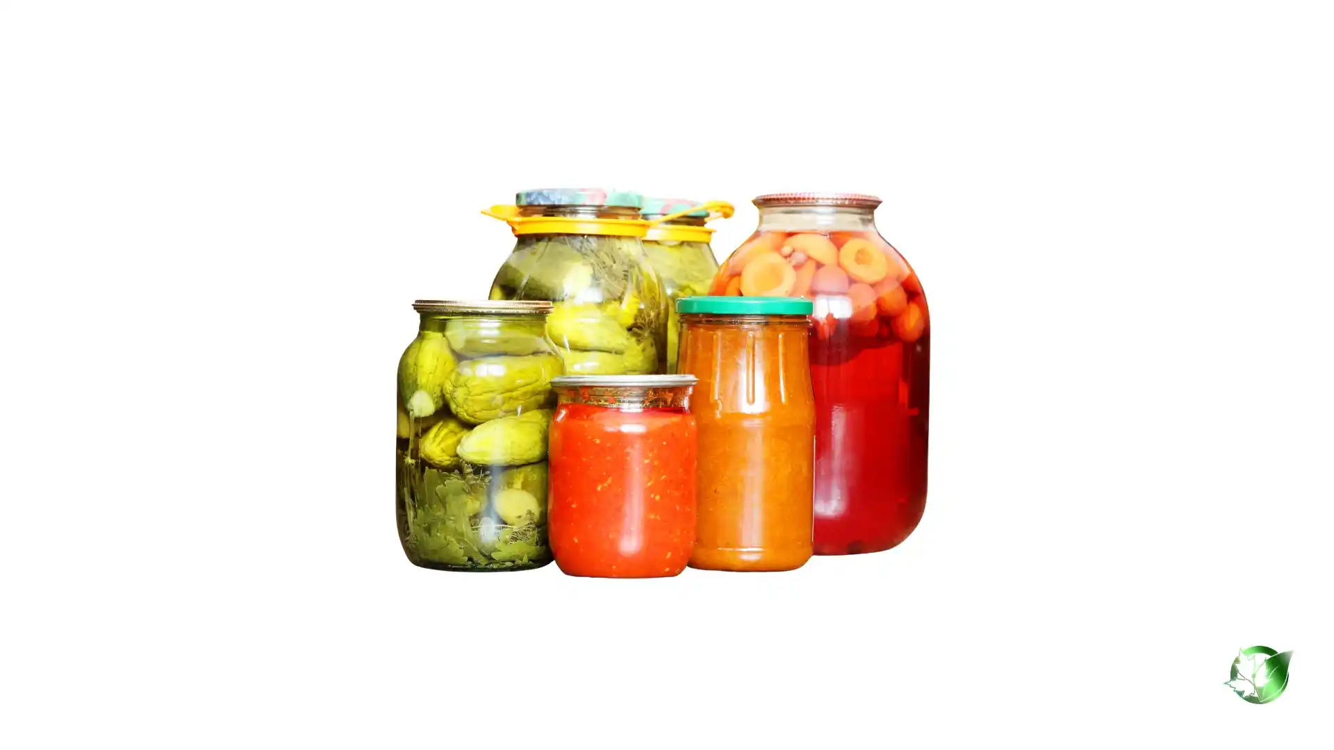 Pickles1.webp