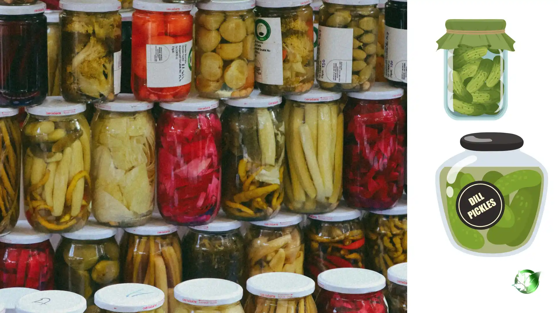 Commercial presentation of Pickles for wholesale product evaluation and buyer review.