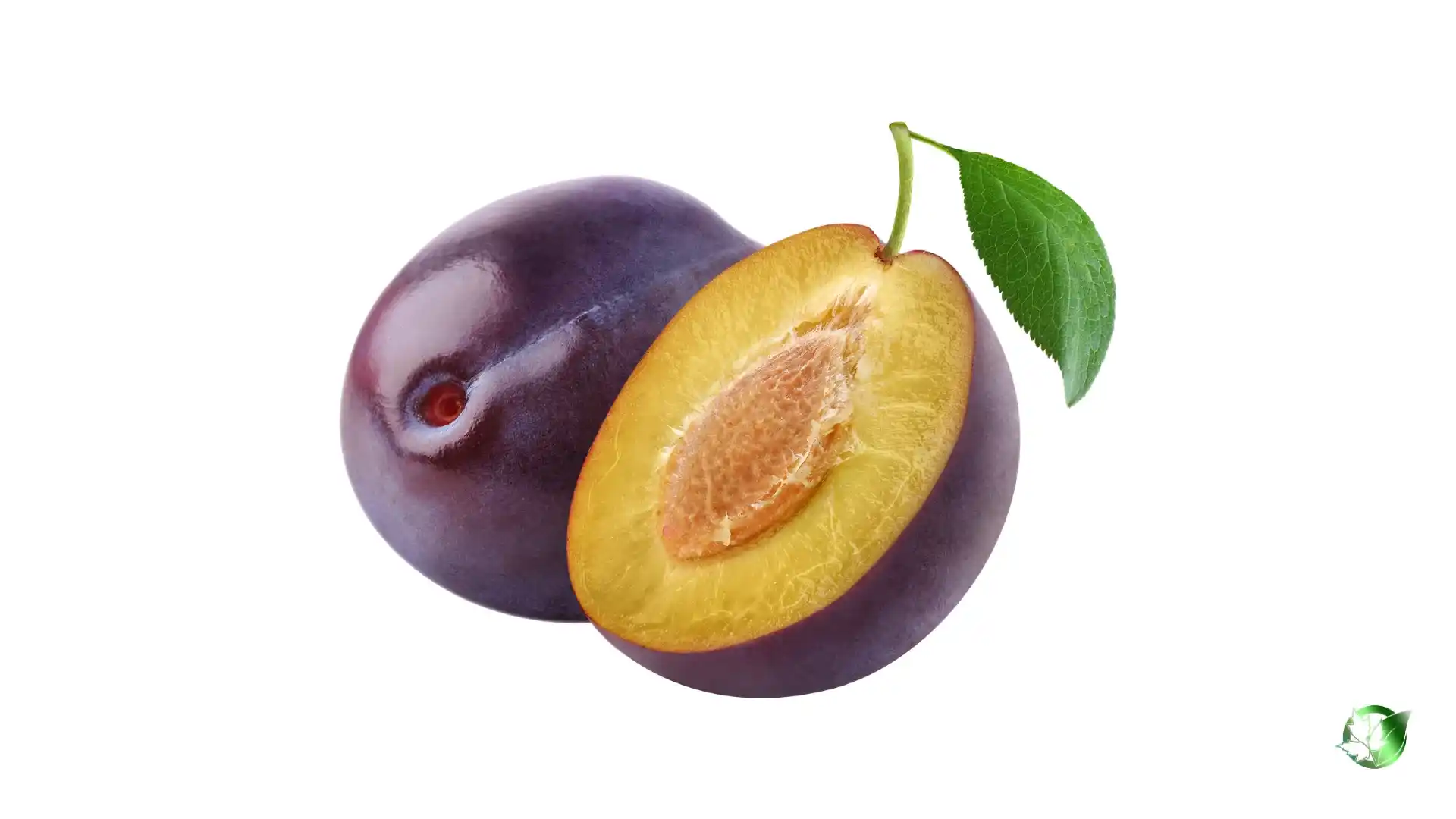 Bulk Plum | Suppliers | Wholesale | ParsaFood Global
