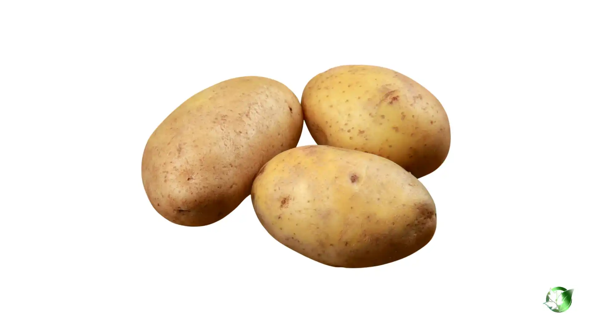 Bulk Potato | Suppliers | Wholesale | ParsaFood Global