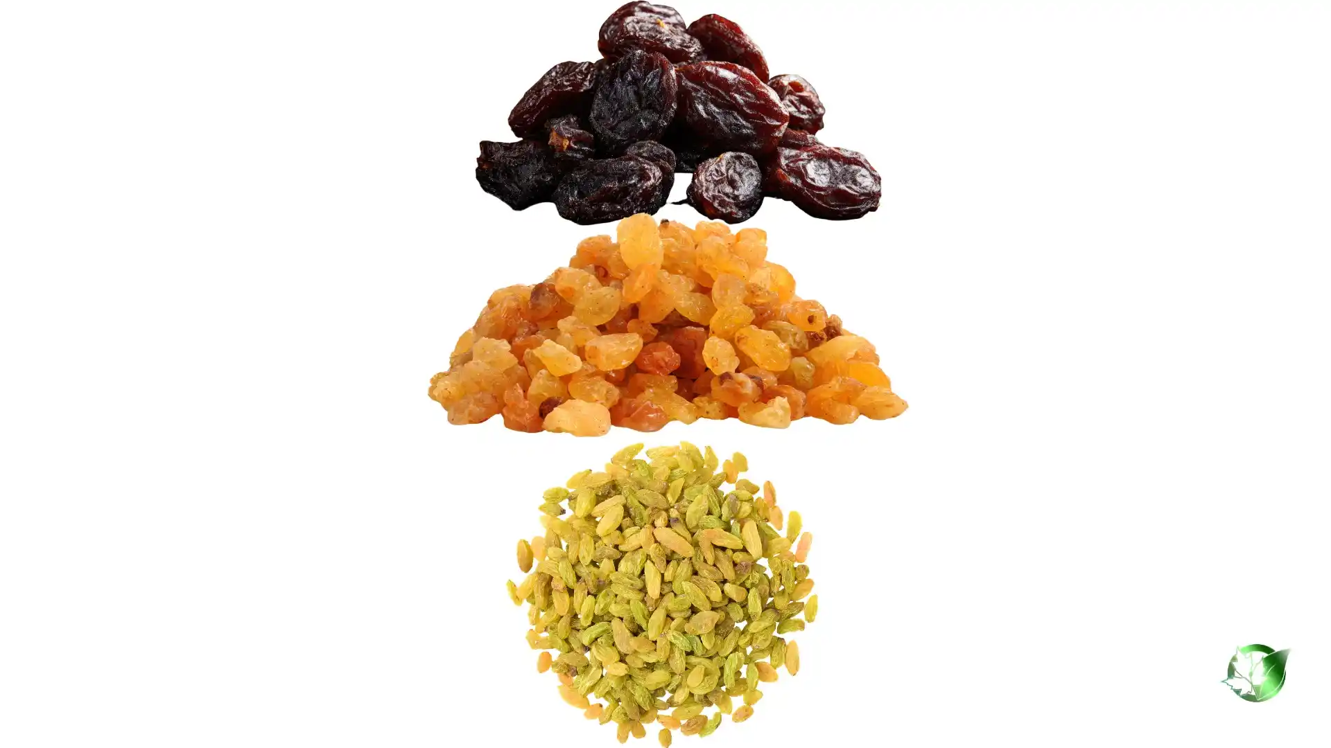 Bulk Raisins | Suppliers | Wholesale | ParsaFood Global