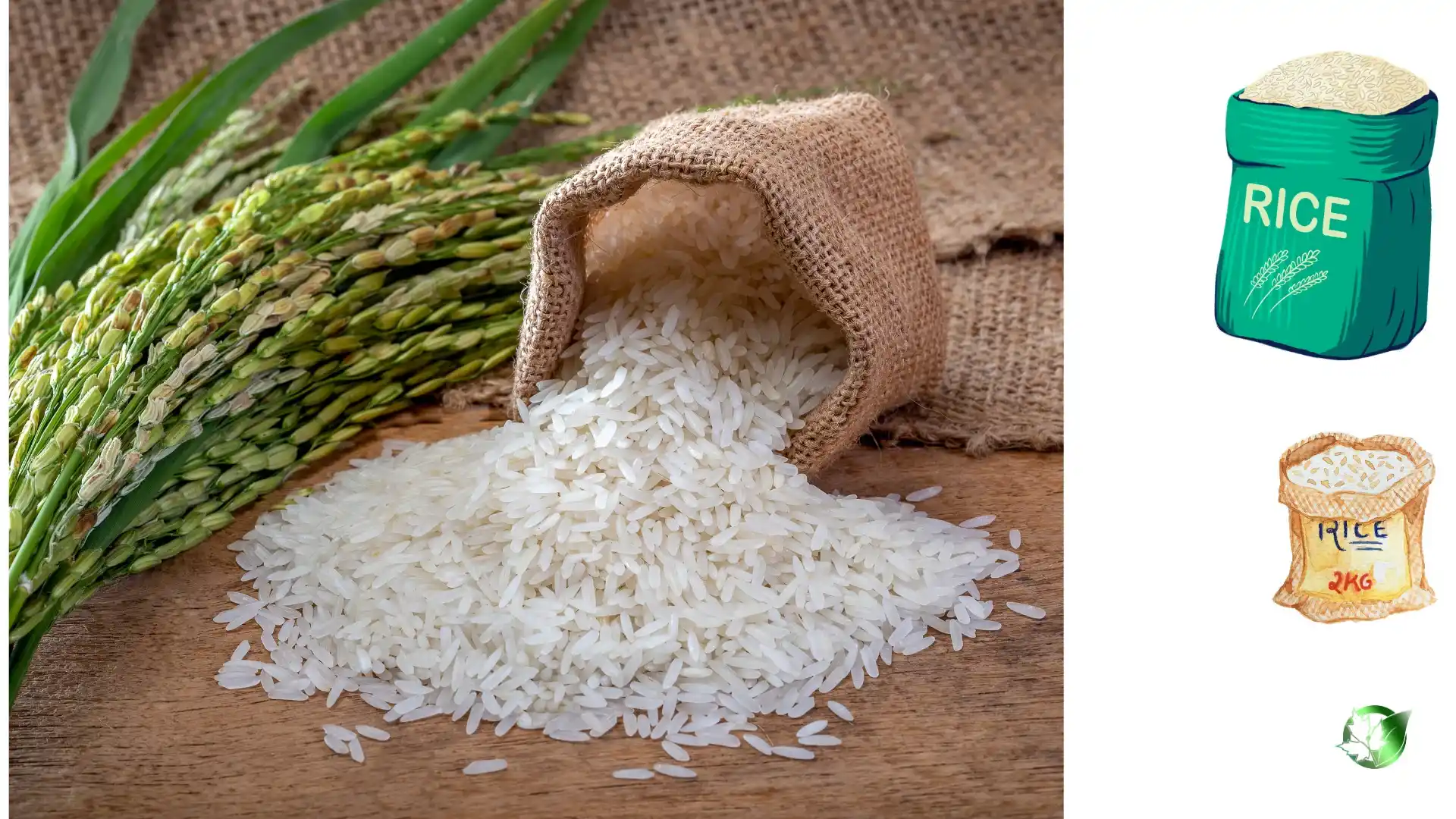 Wholesale packaging for Rice can be planned for grocery retail, commercial kitchens, buyer-brand, or manufacturing distribution.
