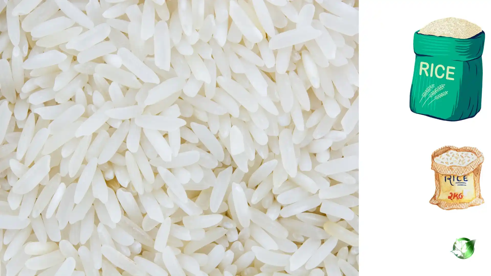 Vendor evaluation for Rice should cover specification, packaging, required records, logistics, and true import cost.