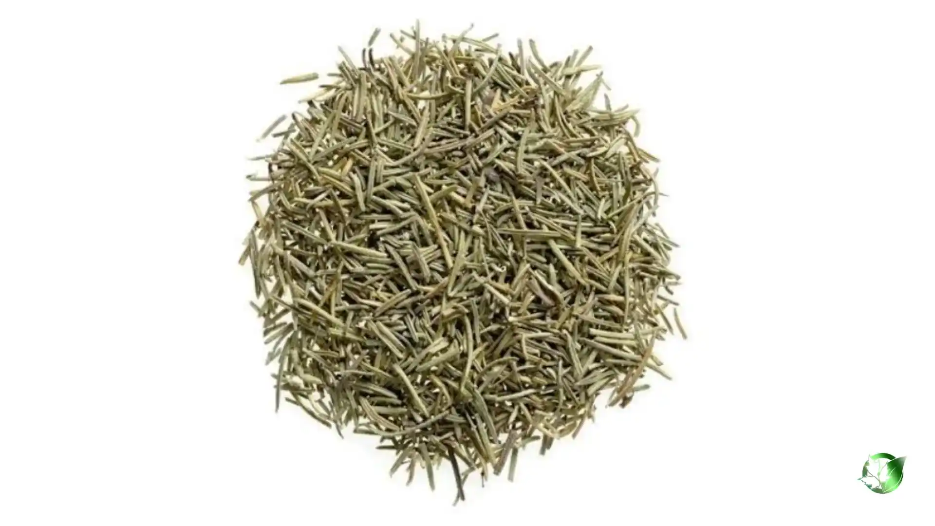 Bulk Rosemary | Suppliers | Wholesale | ParsaFood Global