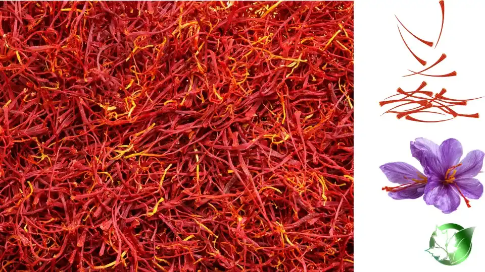 Commercial presentation of Saffron for wholesale product evaluation and buyer review.