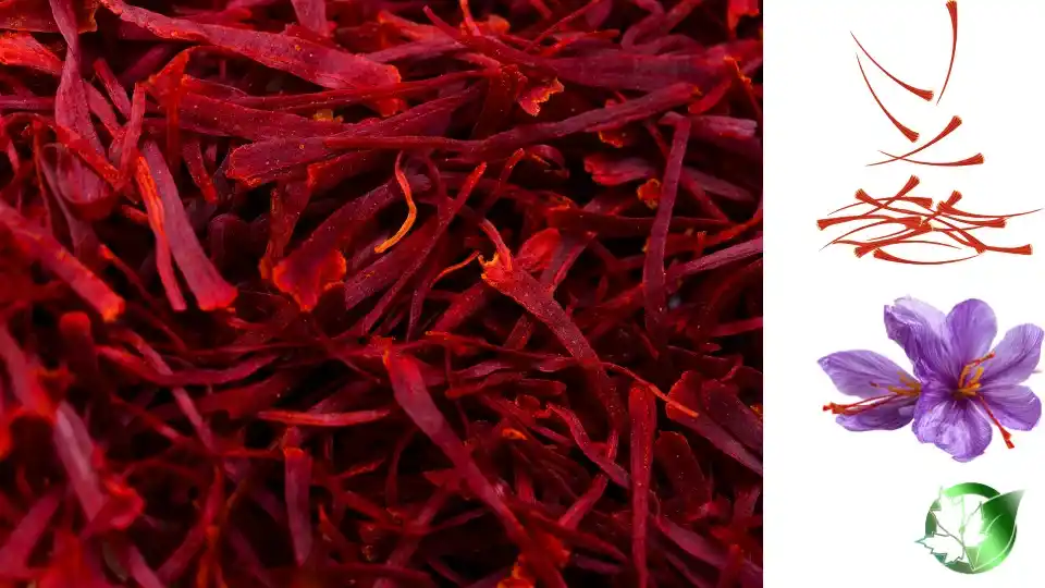 Saffron quality, format, and packaging should be matched to the buyer’s target application.