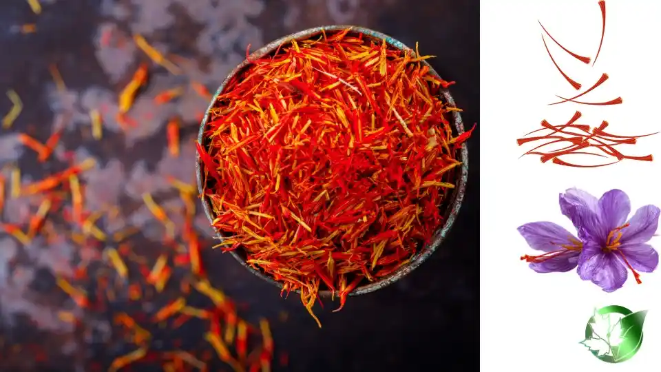 Source evaluation for Saffron should cover specification, packaging, documentation, logistics, and landed commercial cost.