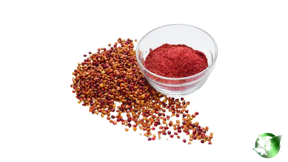 Bulk Sumac | Suppliers | Wholesale | ParsaFood Global